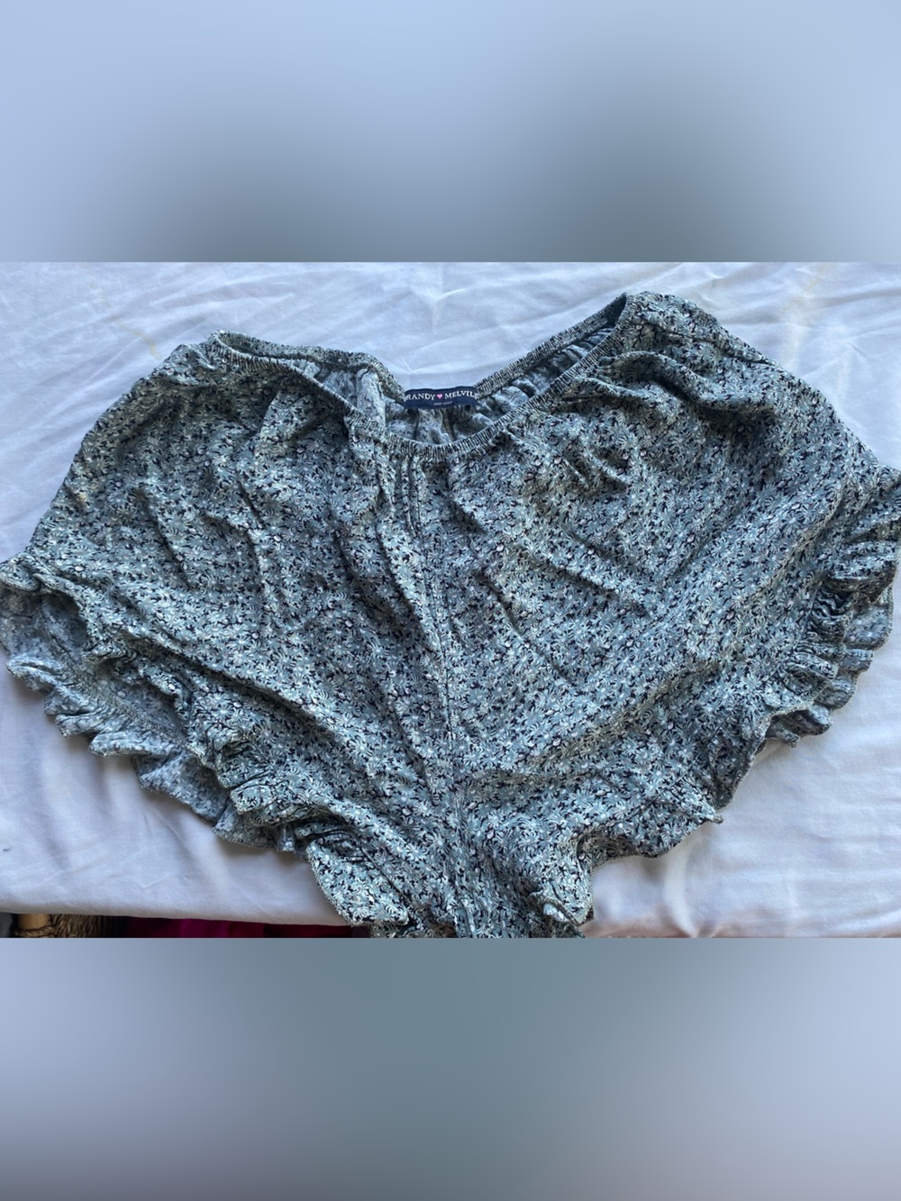 Brandy Melville Blue Ditsy Floral Vodi Ruffle Shorts